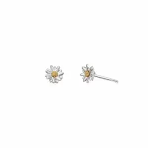 Daisy London 925 Sterling Silver and 18ct Gold Plate Bellis Daisy Stud Earrings