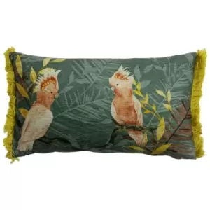 Mazari Exotic Jungle Cushion Teal