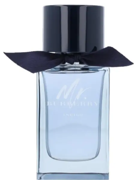 Burberry Mr Burberry Indigo Eau de Toilette For Him 100ml