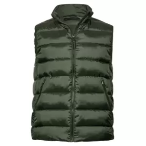 Tee Jays Unisex Adult Lite Body Warmer (S) (Deep Green)