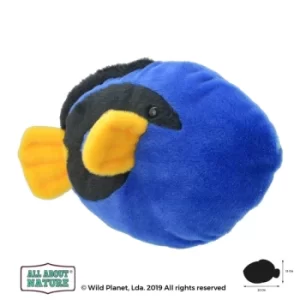 Regal Tang (All About Nature) 25cm Plush