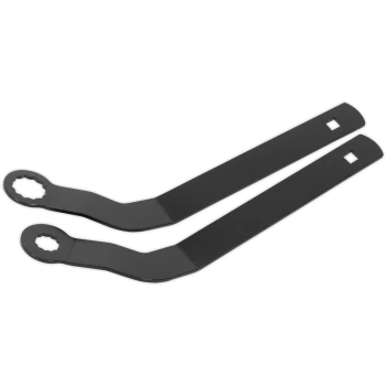 Sealey VSE6211 BMW Mini Auxiliary Belt Tensioner Spanner Set