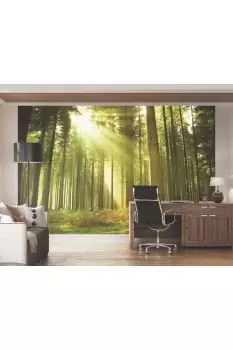 Spruce Forest Wall Mural