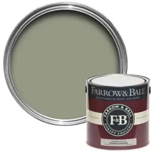 Farrow & Ball Modern Lichen No. 19 Matt Emulsion Paint, 2.5L