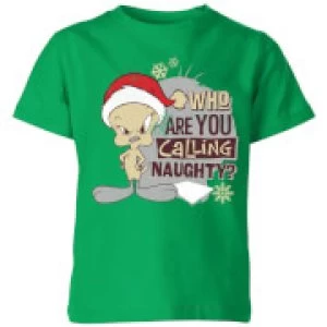 Looney Tunes Who Are You Calling Naughty Kids Christmas T-Shirt - Kelly Green - 11-12 Years