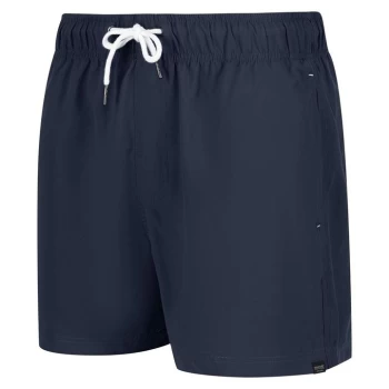 Regatta Mawson Swim Shorts III - Blue