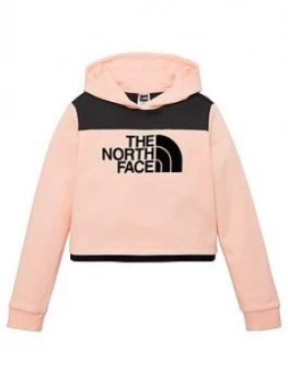 The North Face Girls Cropped Flock Logo Hoodie - Pink