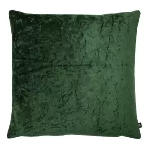 Kassaro Crushed Velvet Cushion