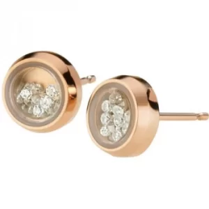 Ladies STORM PVD rose plating Mimi Earring