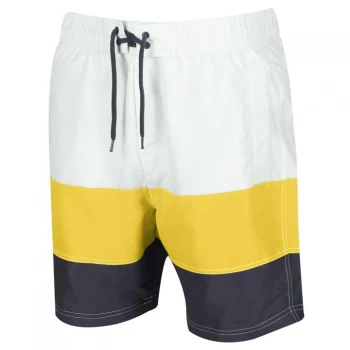 Regatta Bratchmar VI Swimming Shorts - White/Grapfr