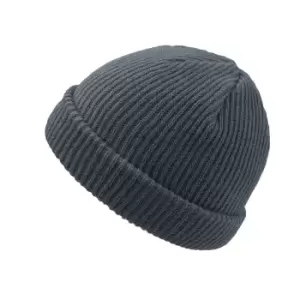 Atlantis Skate Beanie (One Size) (Grey)