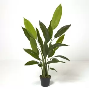 Heliconia Plant in Pot, 140cm Tall - Green - Homescapes