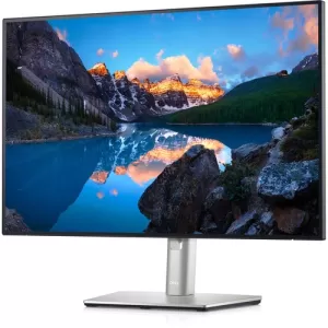 Dell UltraSharp 24" U2421E Full HD IPS LED Monitor