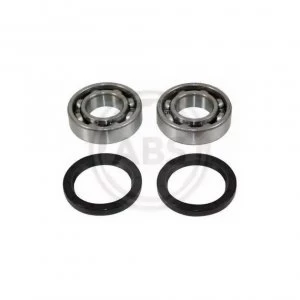 Rear (left /right) Wheel Bearing Kit A.B.S. 200503