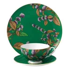 Wedgwood Tea garden green tea mint 3 piece set Green