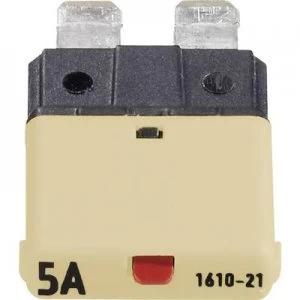 Standard mini blade type fuse circuit breaker 5 A Beige 1610