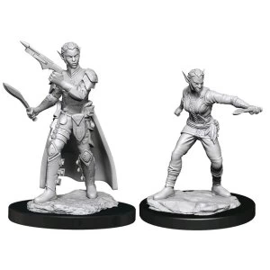 D&D Nolzur's Marvelous Unpainted Miniatures (W13) Shifter Rogue Female