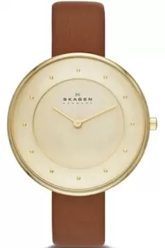 Ladies Skagen Gitte Watch SKW2138