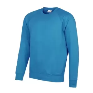 AWDis Academy Mens Crew Neck Raglan Sweatshirt (L) (Sky)