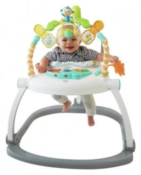 Fisher Price Colourful Carnival SpaceSaver Jumperoo