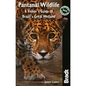 Pantanal Wildlife : A Visitor's Guide to Brazil's Great Wetland