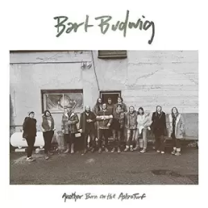 Bart Budwig - Another Burn On The Astroturf Vinyl