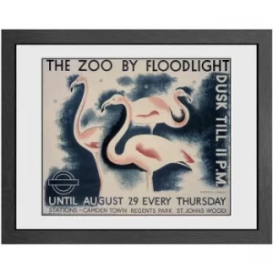 Transport For London The Zoo By Floodlight Print