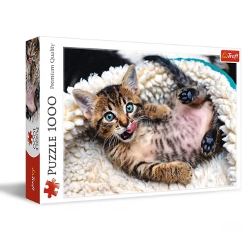 Kitten Jigsaw Puzzle - 1000 Pieces