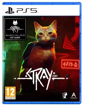 Stray PS5 Game