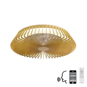 Himalaya LED Dimmable Ceiling Light & 35W DC Fan, Remote Control, APP & Alexa/Google Voice Control, Wood