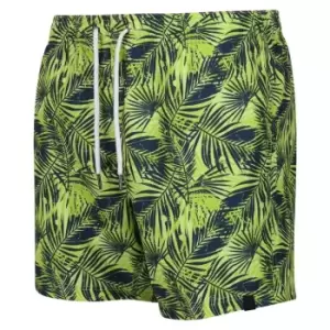 Regatta Loras Swim Short - ShpGrnPlmPrn