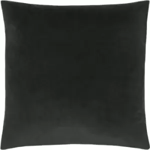 Evans Lichfield Sunningdale Velvet Cushion Cover (50cm x 50cm) (Charcoal)