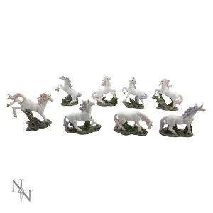 Magic Woodland Pack Of 8 Unicorns Figures