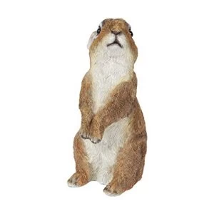 Naturecraft Collection - Rabbit Figurine