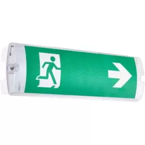 Outdoor Emergency Exit Bulkhead Light - Daylight White LED - Self Test Function