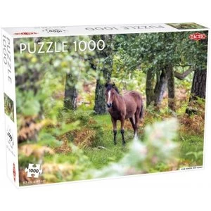 Wild Horses New Forest 1000 Piece Jigsaw Puzzle