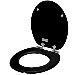 Soft Close Toilet Seat Black