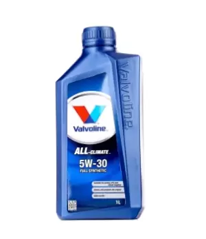 Valvoline Engine oil 872288