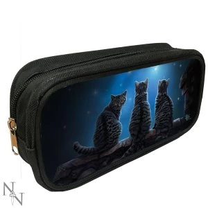 Wish Upon a Star 3D Pencil Case