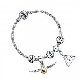 Harry Potter Charm & Bracelet Set