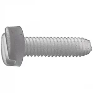 Toolcraft Slotted Cheese Head Screws DIN 84 Polyamide M4 x 10mm Pa...