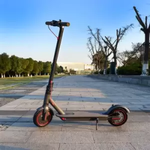 Surg City S Electric Scooter (anthracite)