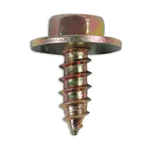 Metal Trim Fastener Screw with captive washer 6.3 x 19 Pk 10 Connect 36616