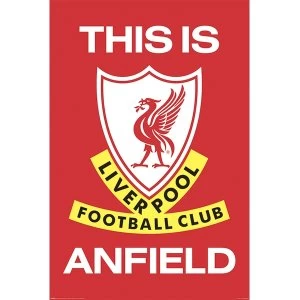 Liverpool FC - This Is Anfield 61 x 91.5cm Maxi Poster