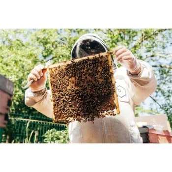 Virgin Experience Days Urban Beekeeping & Honey Beer Tasting E-Voucher - None