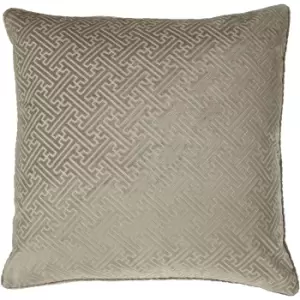 Paoletti Florence Cushion Cover (One Size) (Champagne)