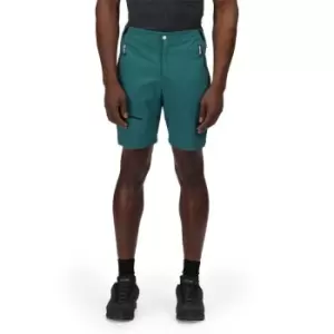 Regatta Highton Pro Short - PacifcGr/Blk