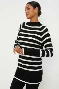 Stripe Funnel Neck Tunic Jumper