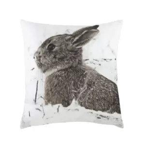 Evans Lichfield Photo Hare Cushion Cover (One Size) (White/Brown/Powder Blue)