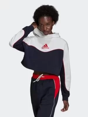 adidas Essentials Colorblock 3-stripes Hoodie, Blue, Size L, Women